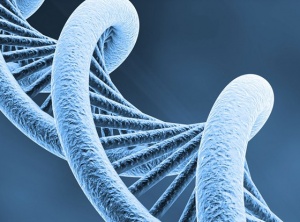 Confirmed by Science: You Really Can Change Your DNA - and Here's How