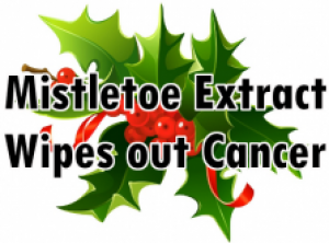 2 Real Life Examples of Mistletoe Wiping out Cancer