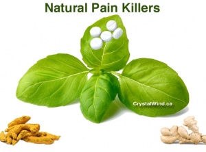 16 Of Nature’s Best Natural Pain Killers