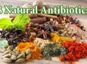 Natural Immunity: 8+ Natural Antibiotics to Replace the Pharmaceuticals for Good