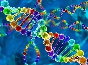 The Activation Of DNA