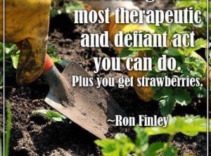 Ron Finley: A Guerilla Gardener in South Central LA