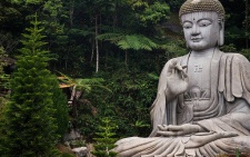 Spiritual Astrology in May 2022 - A Happy Buddha Birthday