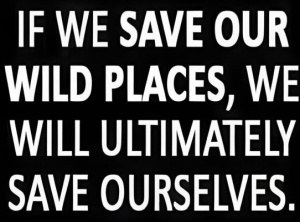 We Must Save Ourselves