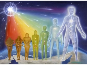 Ascension and your Evolution
