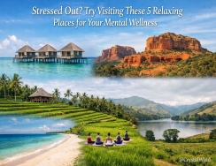 Stressed Out? Try Visiting These 5 Relaxing Places for Your Mental Wellness 