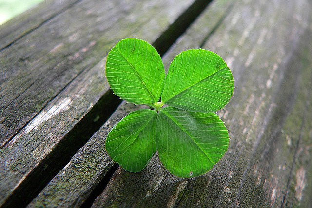 4-leaf-clover