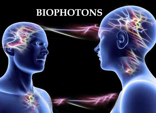 biophotons