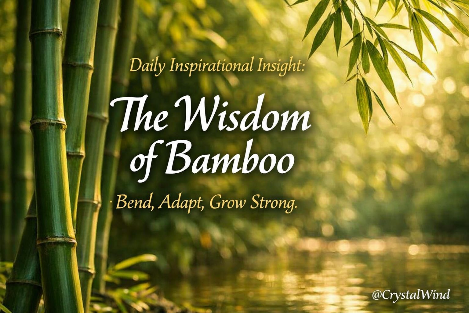 Daily Inspirational Insight: The Wisdom of Bamboo