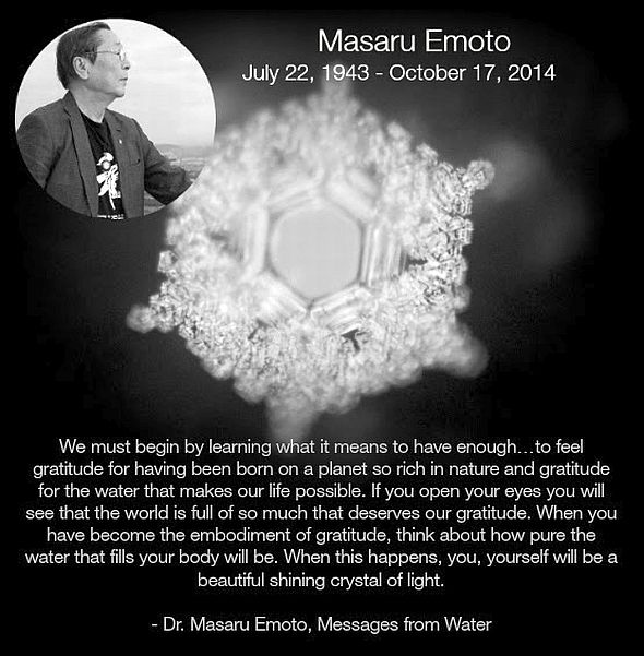 dr-emoto