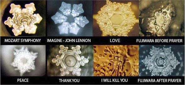 dr-emoto