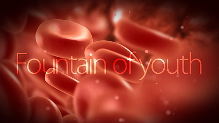fountain_of_youth