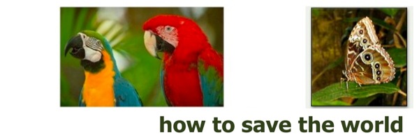 How to Save The World htstw