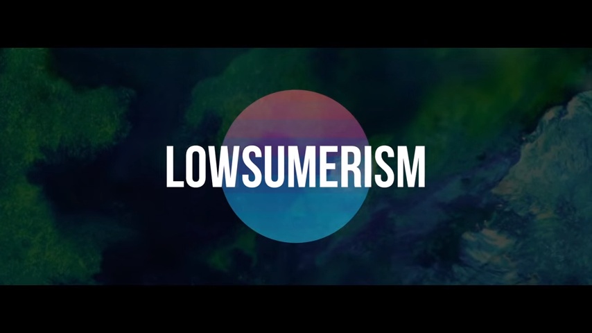 Lowsumerism Lowsumerism