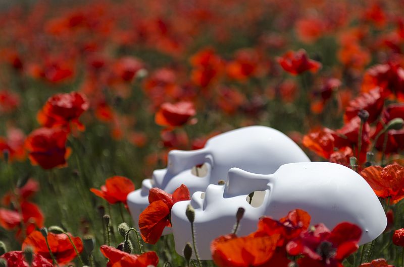The Masks Are Coming Off - Unveiling False Teachers mask poppies field red