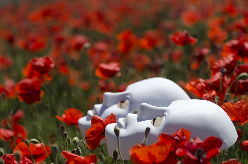 mask poppies field red