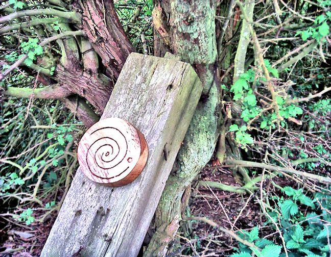 The Icon of Pantheism is a Spiral - an image which, by its motion, seems to be spinning both into itself and out of itself. pantheism_icon