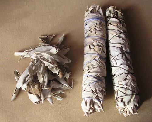 A Guide to Smudging with White Sage