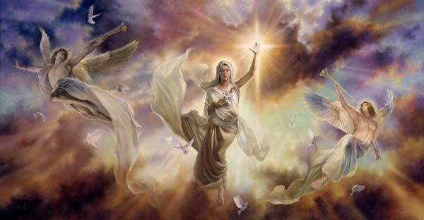 Angels angels
