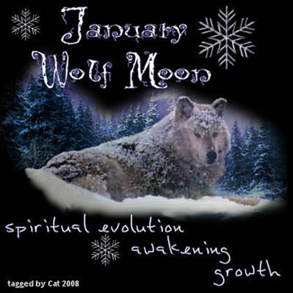 January’s Full Wolf Moon 1.10.20