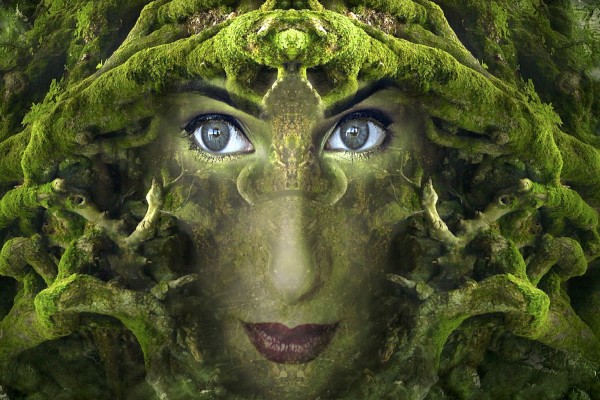 What’s Your Intuitive Gift? What’s Your Intuitive Gift?