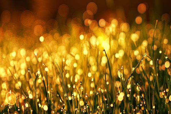 Attunement to Infinite Time Attunement to Infinite Time