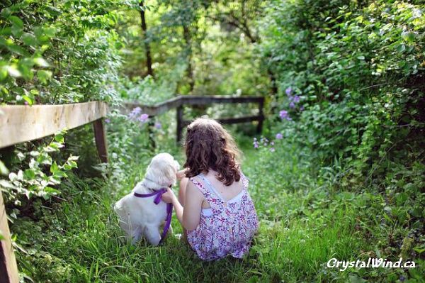 Is There An Afterlife For Pets & Other Animals?