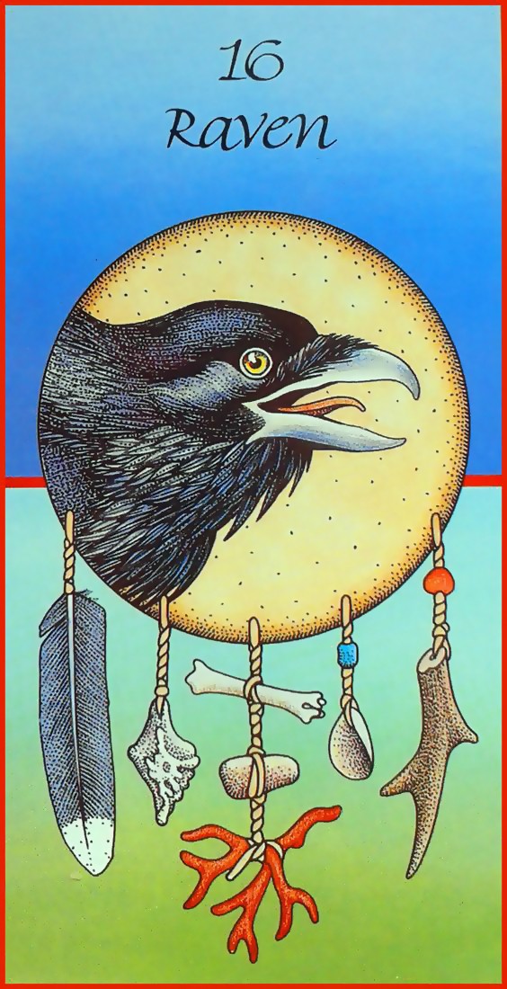 raven medicine cards jamie sams