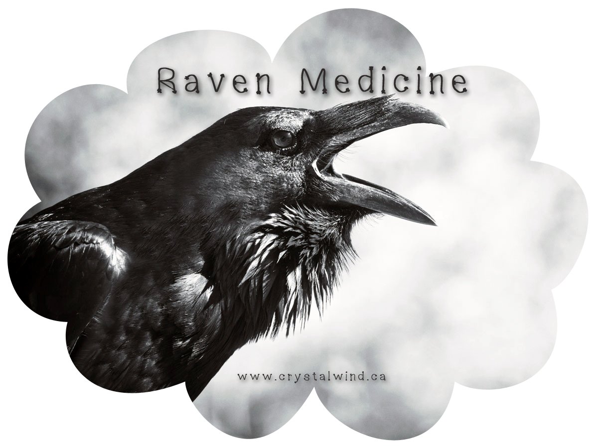 Raven Medicine Raven Medicine