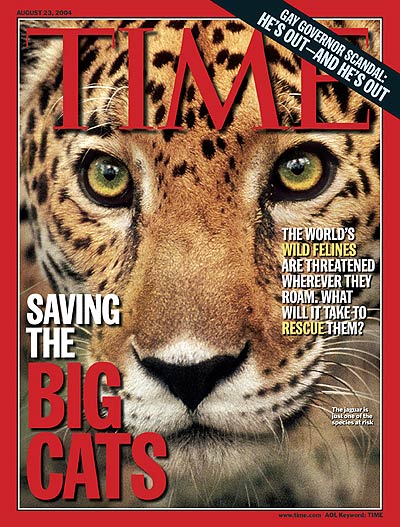 time_magazine_big_cats