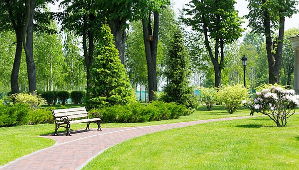 parks-and-sidewalks-are-vital-for-health