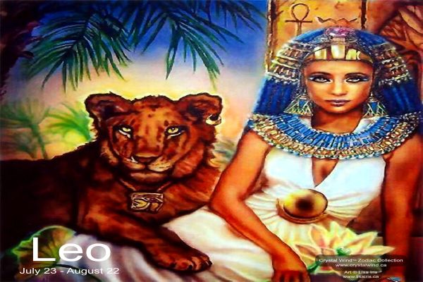 Leo Leo