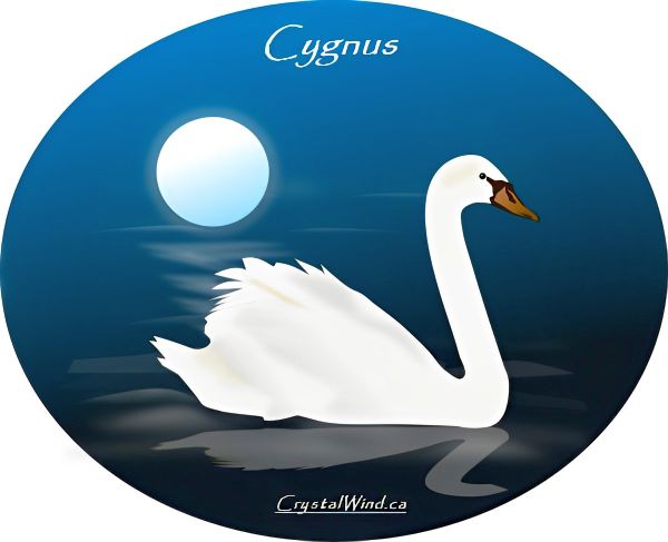 We Bow Before You - The Realm Of Cygnus We Bow Before You - The Realm Of Cygnus