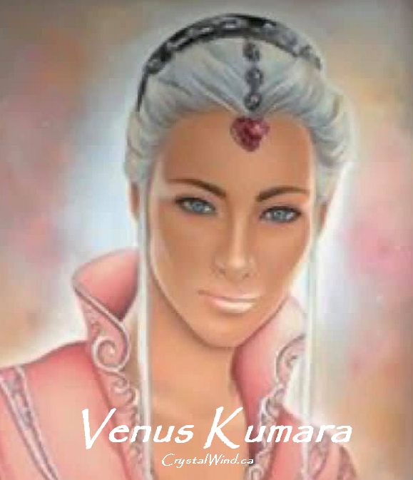 Venus Kumara: Harvest or Be Harvested? Venus Kumara: Harvest or Be Harvested?