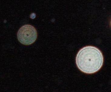 Orbs Orbs