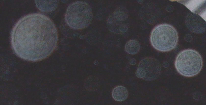 What is an Orb and Where Does it Come From? What are Orbs?