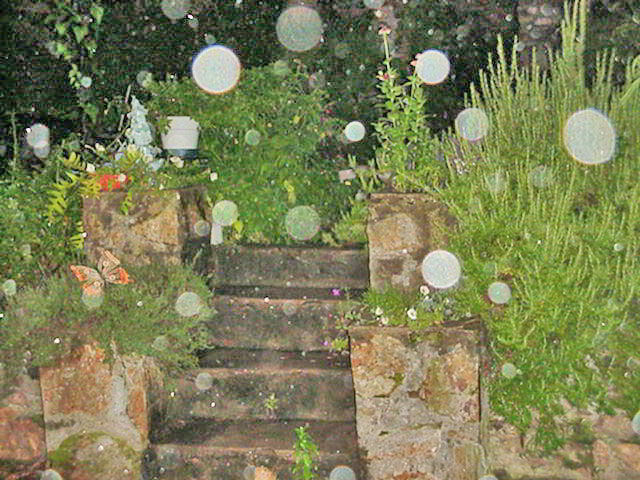 Garden Orbs