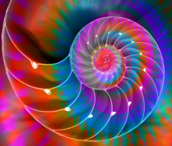 The Energies of November 2021 ~ Conscious Creation The Energies of November 2021 ~ Conscious Creation