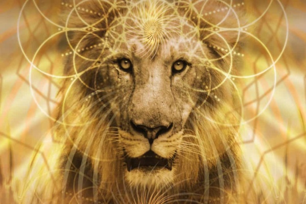 The Lions Gate, 2021 ~ Plasma Transmissions: Lightbody Upgrade The Lions Gate, 2021 ~ Plasma Transmissions: Lightbody Upgrade