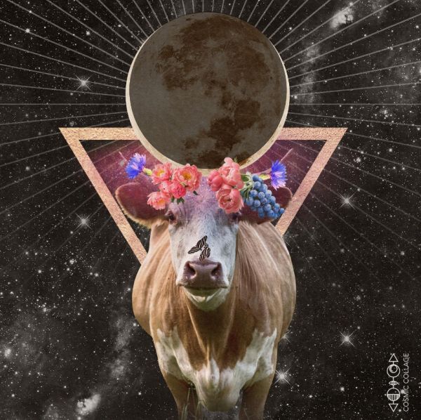 New Moon in Taurus, May 19th, 2023 - Physical Expansion New Moon in Taurus, May 19th, 2023 - Physical Expansion