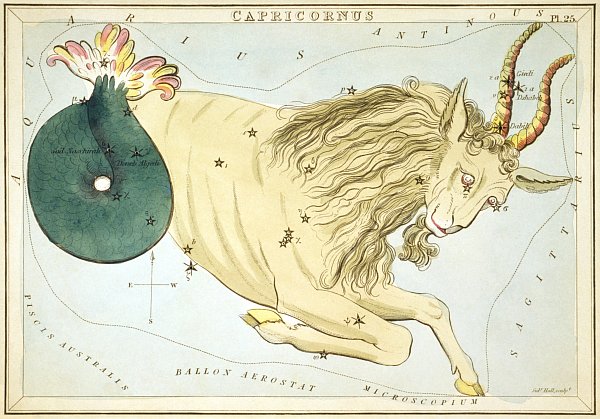 Capricornus capricorn 6