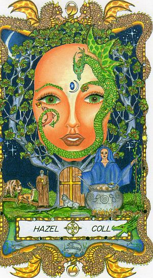 The Hazel Tree: August 5 - September 1 | Celtic Zodiac