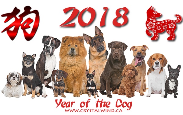 2018 year of dog