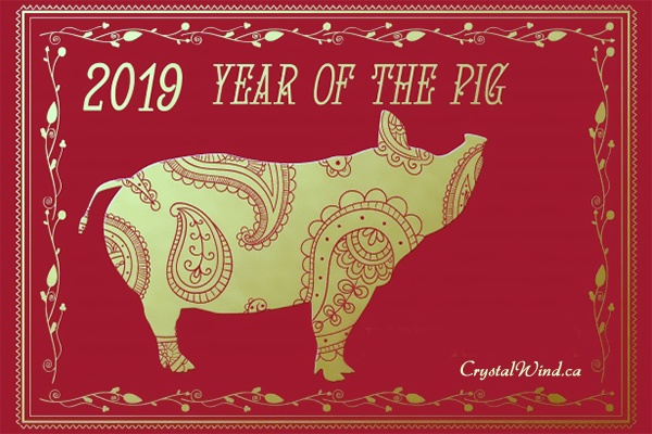 2019 - Year Of The Pig