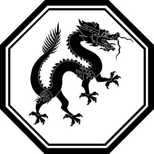 Dragon dragon