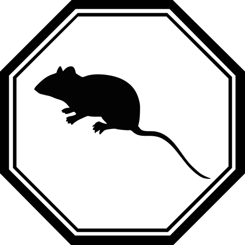Rat rat