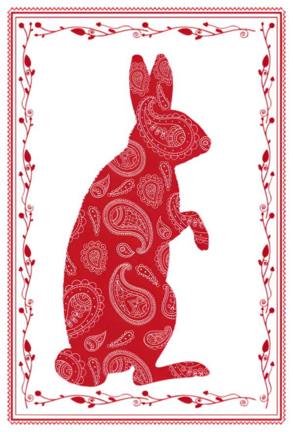 Year of the Rabbit