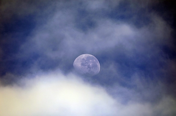 Full Moon in Leo, February 9, 2020 - See Me, Feel Me Full Moon in Leo, February 9, 2020 - See Me, Feel Me