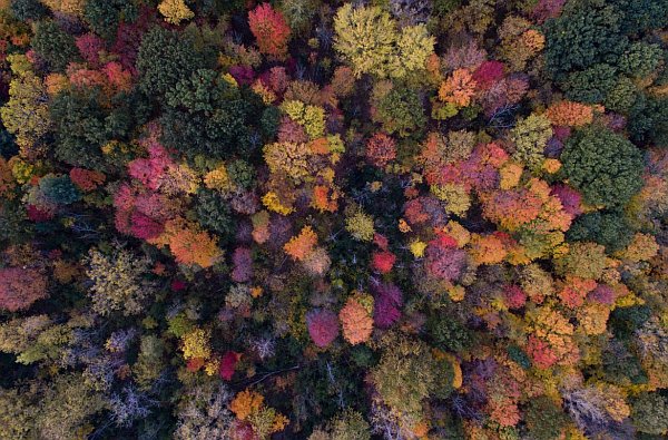 The Astrology of November 2019 - Big Picture The Astrology of November 2019 - Big Picture