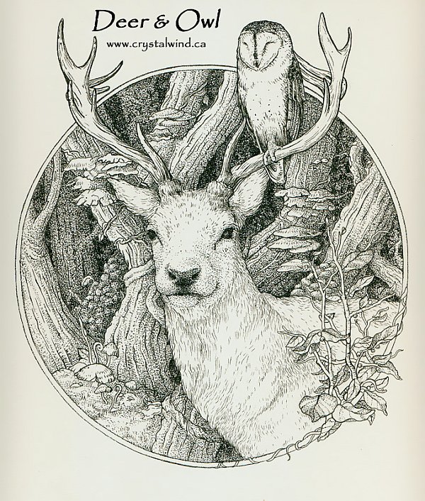 deer owl cw